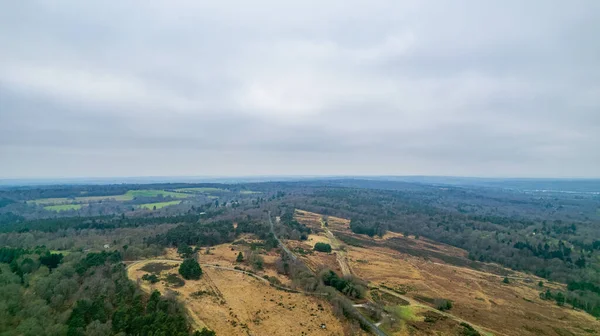 Повітряний Безпілотник Вид Дорогу Між Полями Лісами — стокове фото
