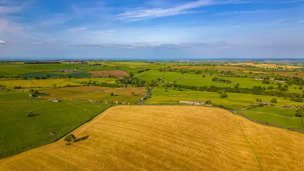 Stock image aerial view of the fields and fields