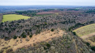 Ağaçlarla dolu bir tarlası ve orman geçmişi olan güzel bir manzara.