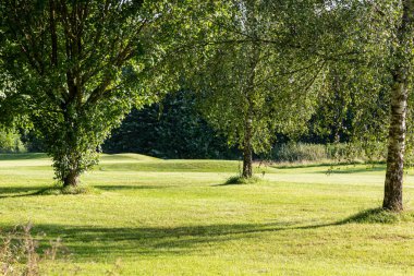 Parktaki yeşil çimenlikte golf sahası.