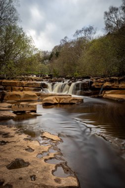 Ormanın ortasındaki güzel şelalenin dikey görüntüsü dağlardaki bir nehirde.