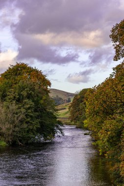 Nehrin sonbahar manzarası güzel bir sonbahar ormanında akıyor.