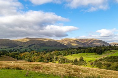 Arkasında bir göl olan yeşil manzaralı güzel bir manzara.