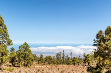 Sicilya 'nın ortasındaki etna Dağı manzarası