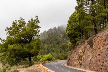 Tenerife 'de asfalt yol