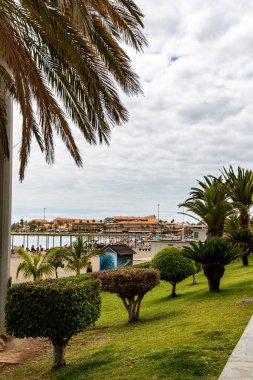 Arka planda ahşap bankları ve plajı olan palmiye ağaçları..