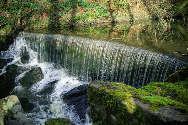 Uma Cachoeira Floresta — Fotografia de Stock