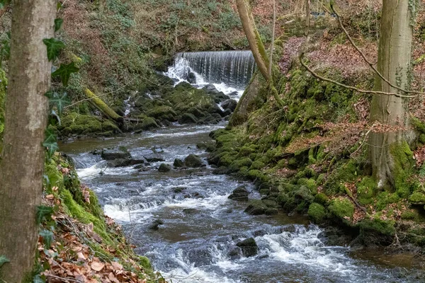 Ein Wasserfall Wald Eines Flusses Den Bergen — Stockfoto