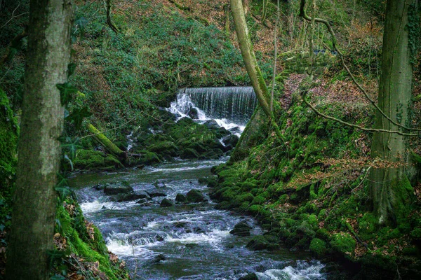 Krásný Vodopád Zeleným Mechem Lese — Stock fotografie