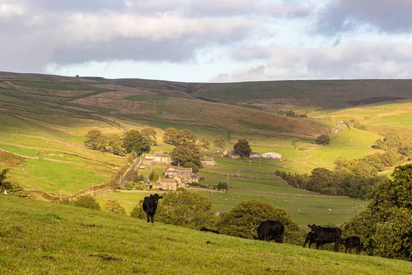 stock image beautiful view of the countryside