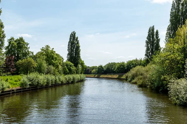 Hollanda 'daki bir göletin kıyısında ağaçların ve bitkilerin olduğu bir kanal manzarası.
