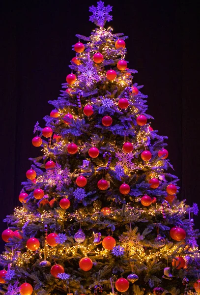 Χριστουγεννιάτικο Δέντρο Στο Σκοτάδι — Φωτογραφία Αρχείου