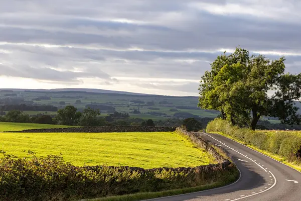 stock image beautiful rural landscape with road and fields