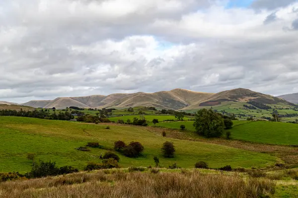 ニュージーランド北部の山々や — ストック写真