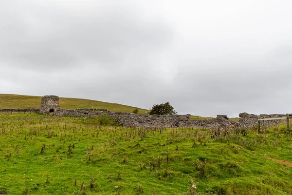 Uitzicht Oude Stenen Muur Van Het Kasteel Heuvel Het Groene — Stockfoto