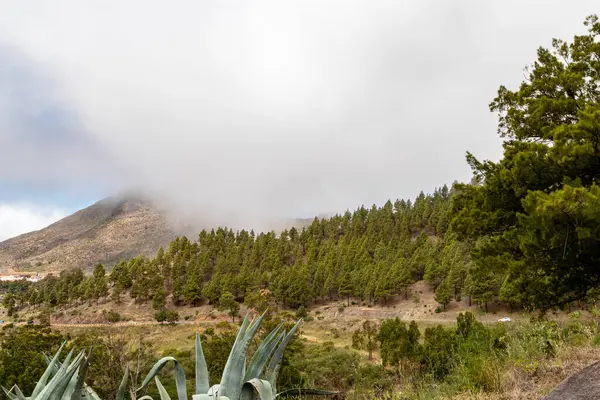Vista Del Teide Vulcanico Una Giornata Nuvolosa — Foto Stock
