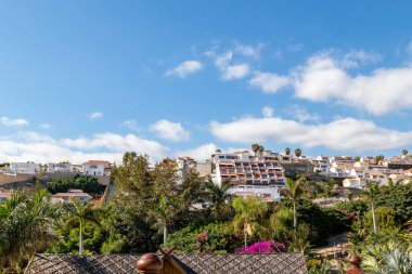 Tenerife adasının güzel manzarası, kanarya adaları, İspanya