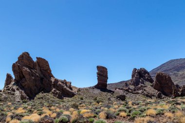 Kanarya adasındaki ada manzarası, tenerife, kanarya adası.