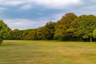 Yaz zamanı park et.