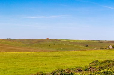 Güzel yeşil bir çayırın manzarası