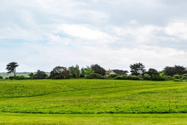 Yeşil çimenli ve ağaçlı manzara