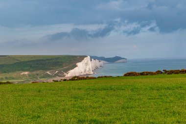 Jurasik kıyılarının İngiliz kırsalındaki beyaz tebeşir kayalıklarının tepesinden manzara, Dorset, İngiltere