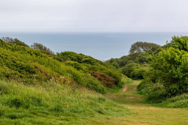 Sahile giden bir yol.