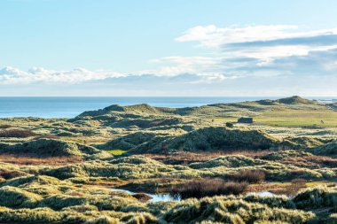 Kuzey sahilinin kumulları ve Hollanda 'nın güzel manzarası.