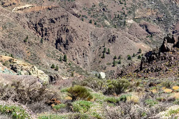 Stock image the landscape of the island of madeira on the atlantic ocean coast