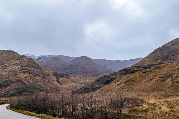 Der Weg Die Berge Des Nordens Des Neuseeland — Stockfoto