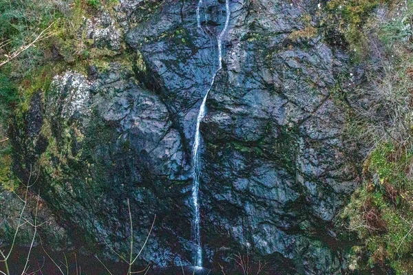 Ein Wasserfall Wald — Stockfoto