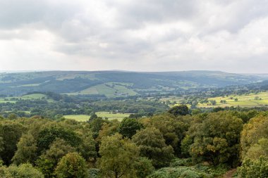 Ormandaki dağların güzel manzarası