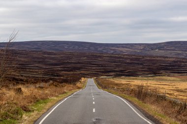 İskoçya 'daki ormandan geçen yol.