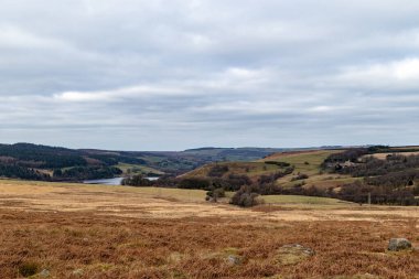 Kırsal bölgedeki nehir manzarası