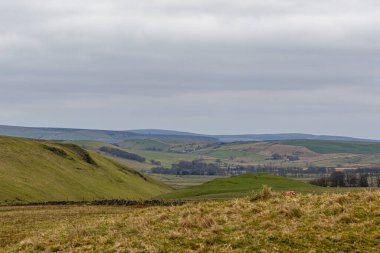 İskoçya 'nın dağlık tepeleri.