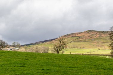 Parkın güzel manzarası.