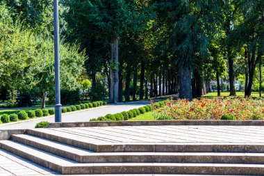 Güneşli bir günde güzel bir park, doğa