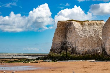 Normandiya, Fransa 'daki kayalıklar ve deniz.