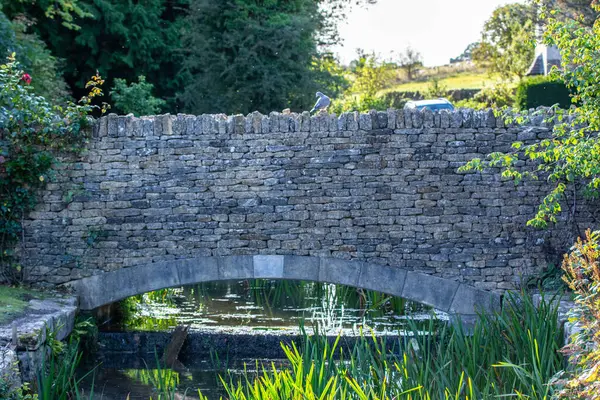 Puente Piedra Sobre Río Parque Irlanda —  Fotos de Stock