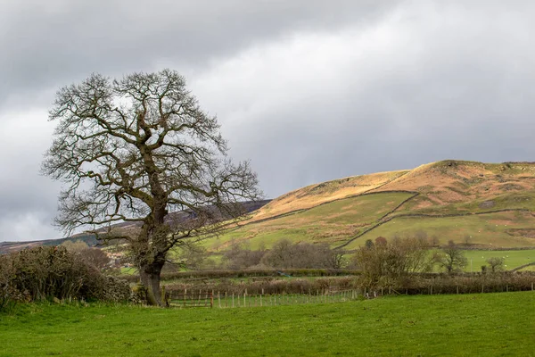 Blick Auf Die Englische Landschaft Einem Sonnigen Tag — Stockfoto