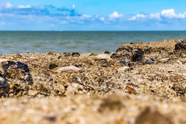 海滩上的海石 — 图库照片