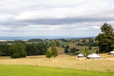 Öğleden sonra Güney Afrika kırsalının manzarası. Arka planda yeşil çimenler var.