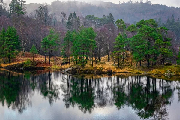 Озеро Осеннем Лесу — стоковое фото