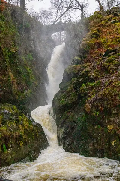 森の中の小川のある滝 — ストック写真