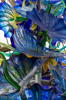 Bahçedeki güzel renkli çiçekler.