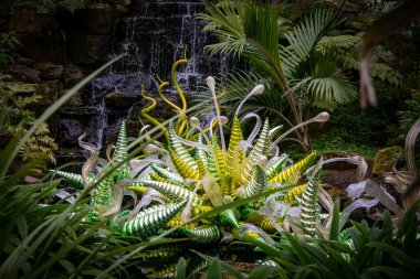 Güzel botanik fotoğrafı, doğal duvar kağıdı.