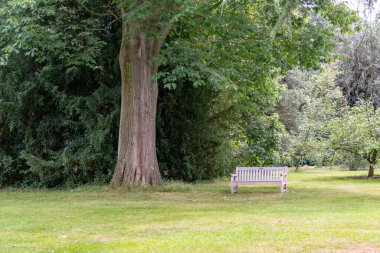 Parkın güzel manzarası