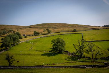 Parkın dağının güzel manzarası