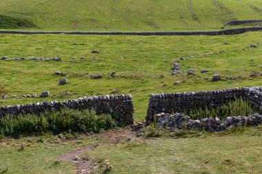 yeşil alanlar ve çimenler