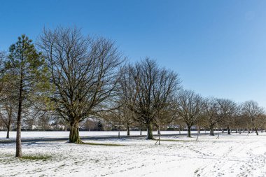 Kar altında kış parkı